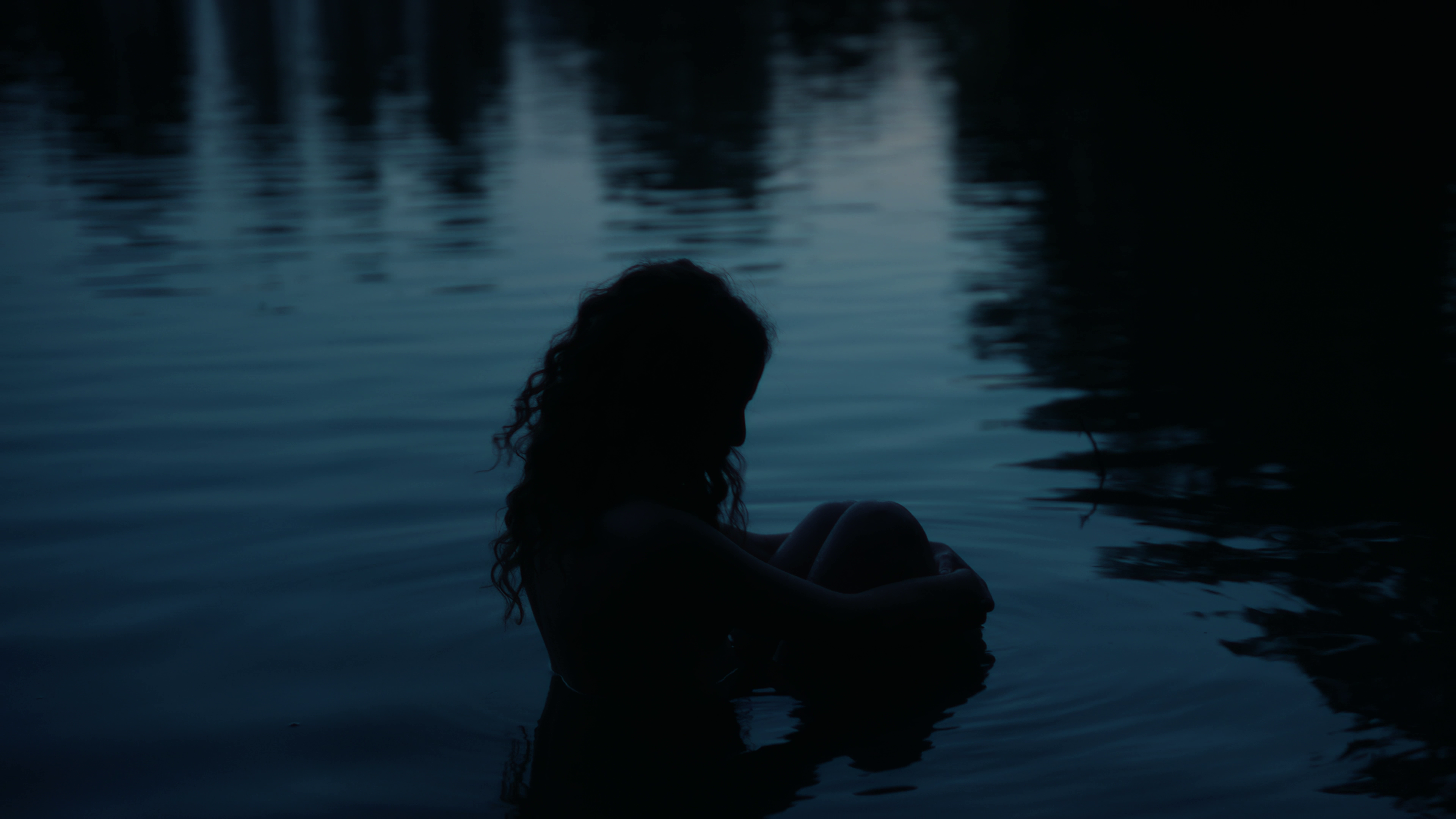 WILDBLOOM - Show Me The Way